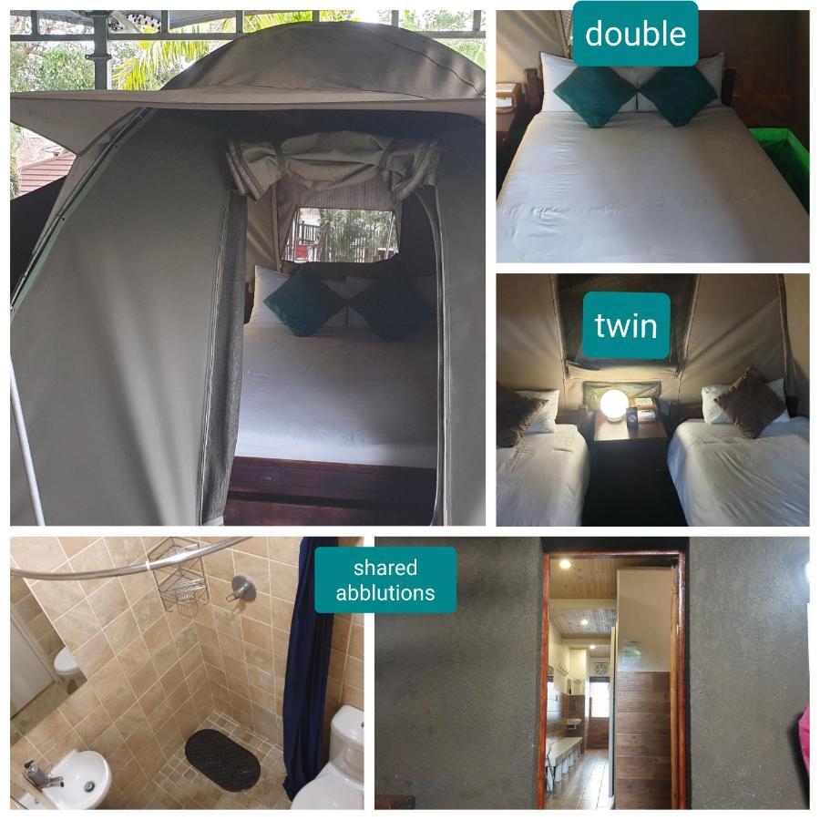 Urban Glamping Tranquil International Backpacking Village Saint Lucia Estuary 外观 照片