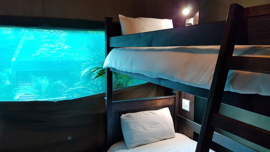 Urban Glamping Tranquil International Backpacking Village Saint Lucia Estuary 外观 照片